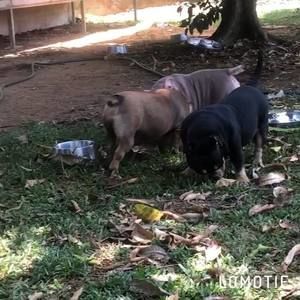 Meet your Posher, Miguel